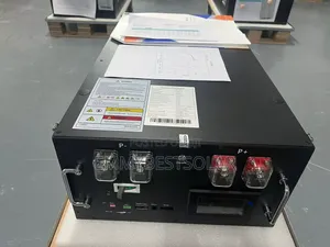 15kwh 51.2v Welion LITHIUM BATTERY
