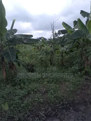Land Sales