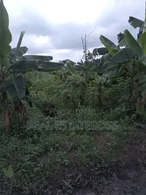 Land Sales