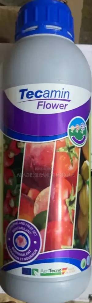 Tecamin Flower