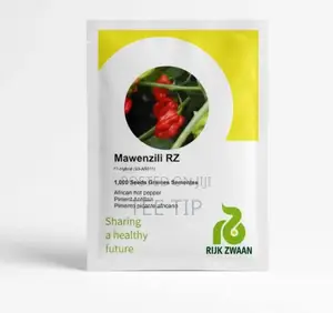 Mawenzili RZ - Rijk Zwaan