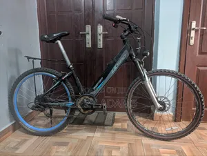 Rechargeable Electric Bicycle
