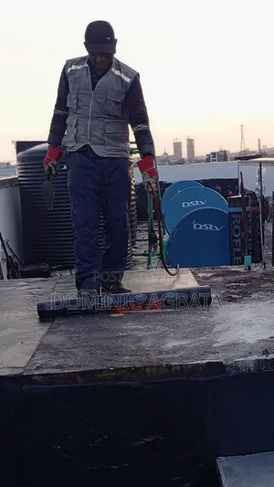 Ebulliently Roof Waterproofing Specialists