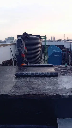 Ebulliently Roof Waterproofing Specialists