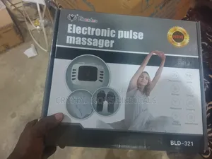 Electronic Pulse Massager