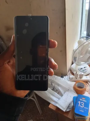 Samsung Screen S21 Ultra OLED