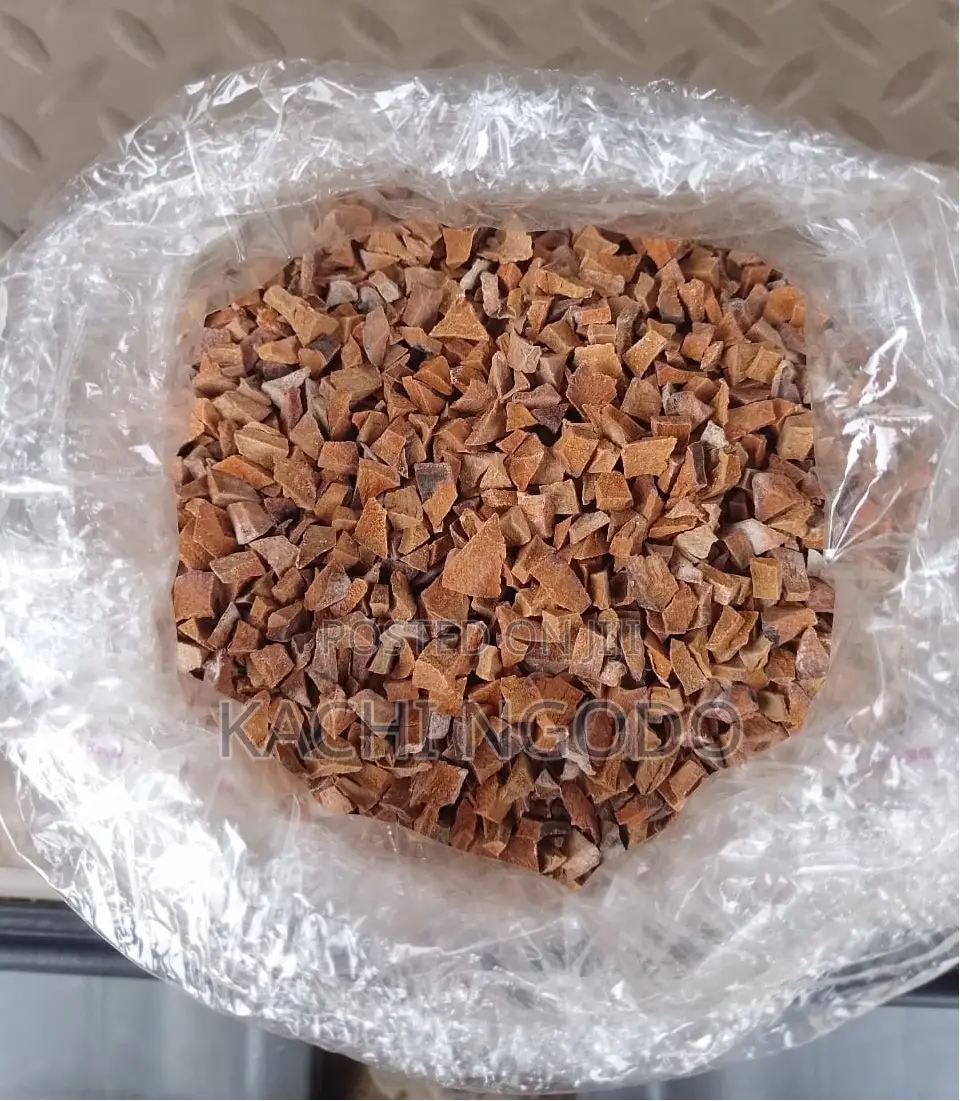 Avocado Dried Seeds