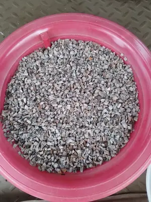 Avocado Dried Seeds