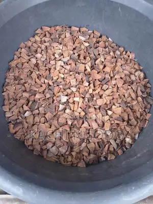 Avocado Dried Seeds