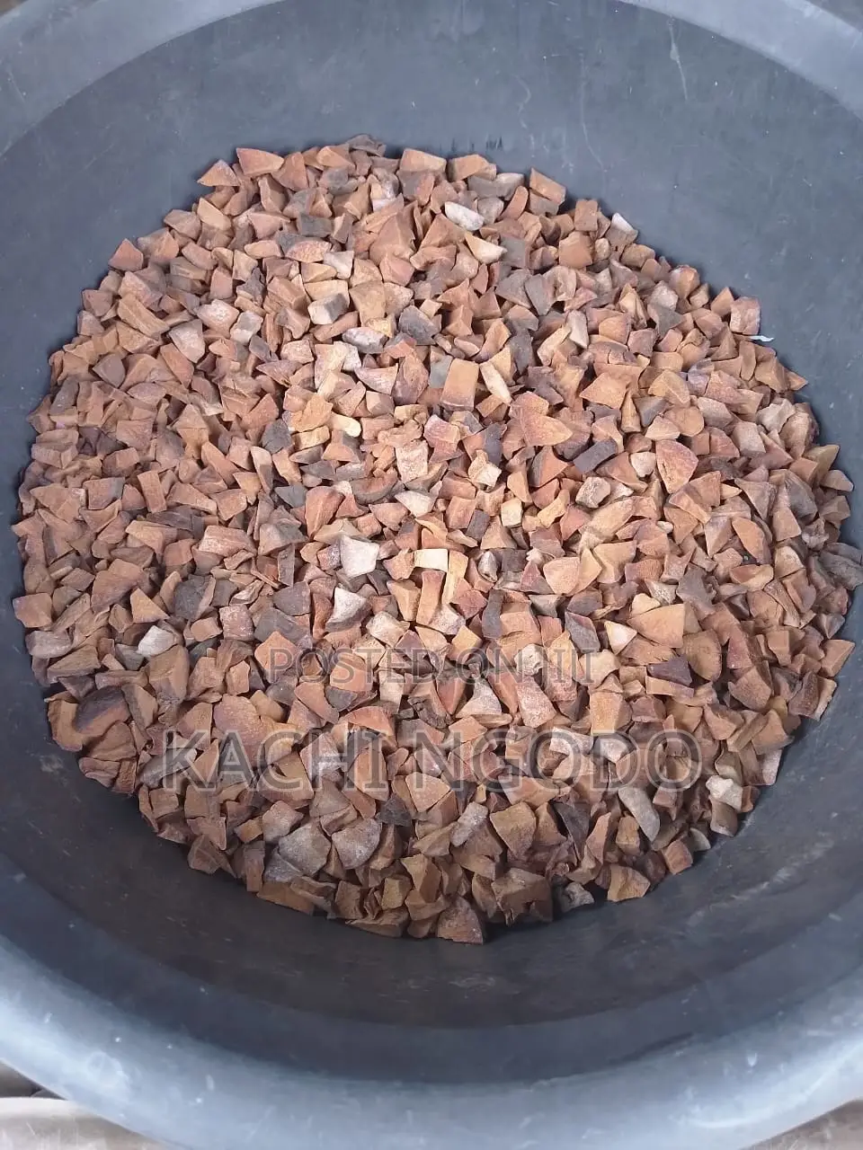 Avocado Dried Seeds