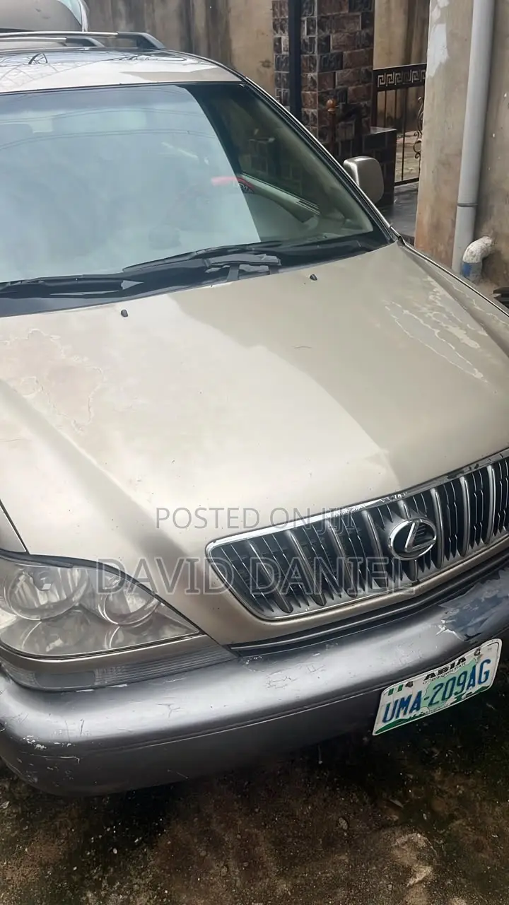 Lexus RX 300 4WD 2002 Gold