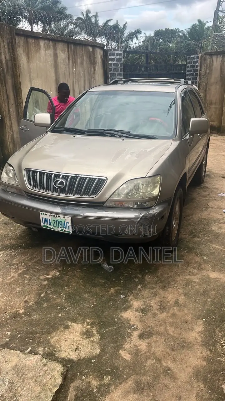 Lexus RX 300 4WD 2002 Gold