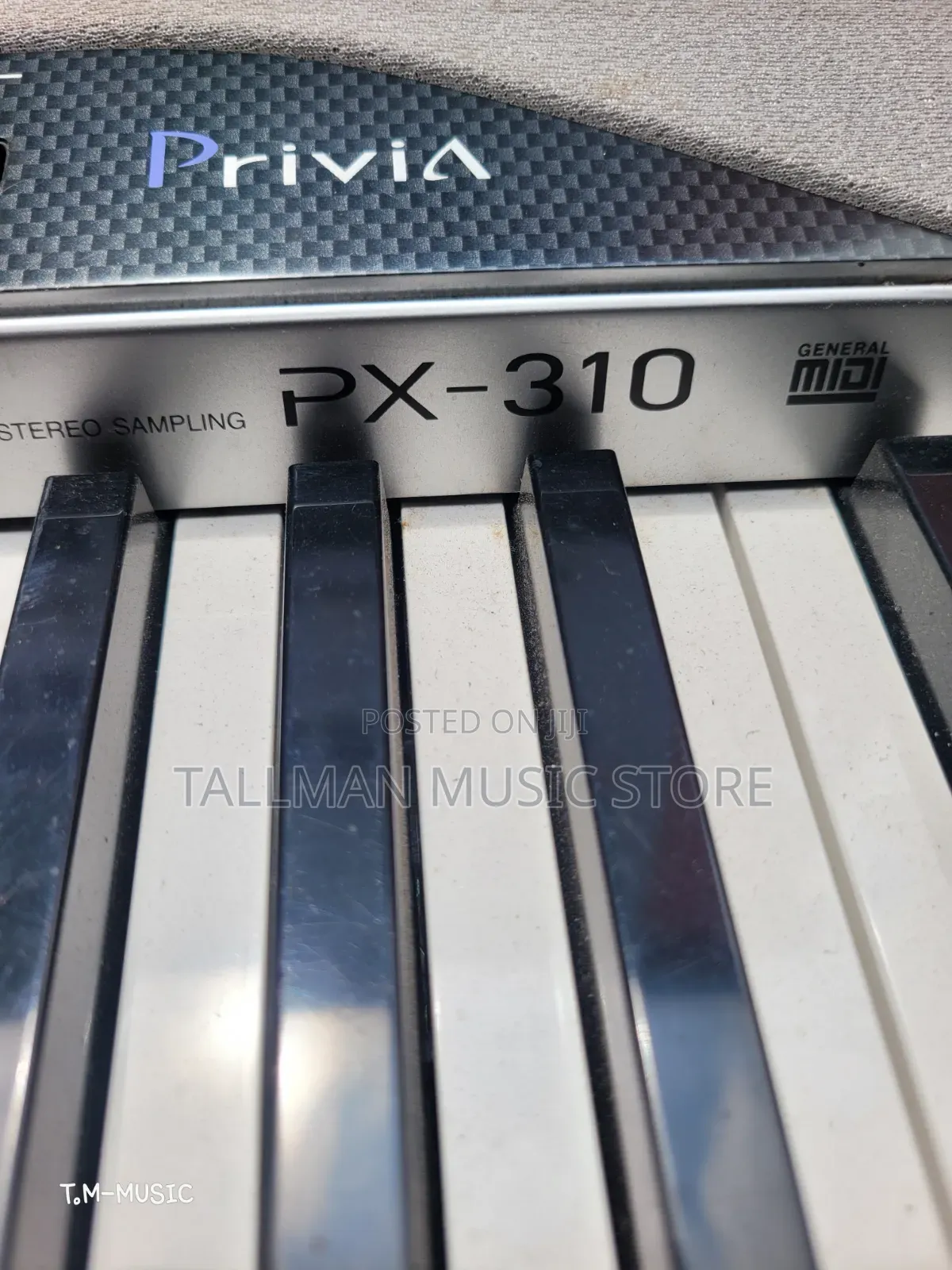 Casio Privia Px310