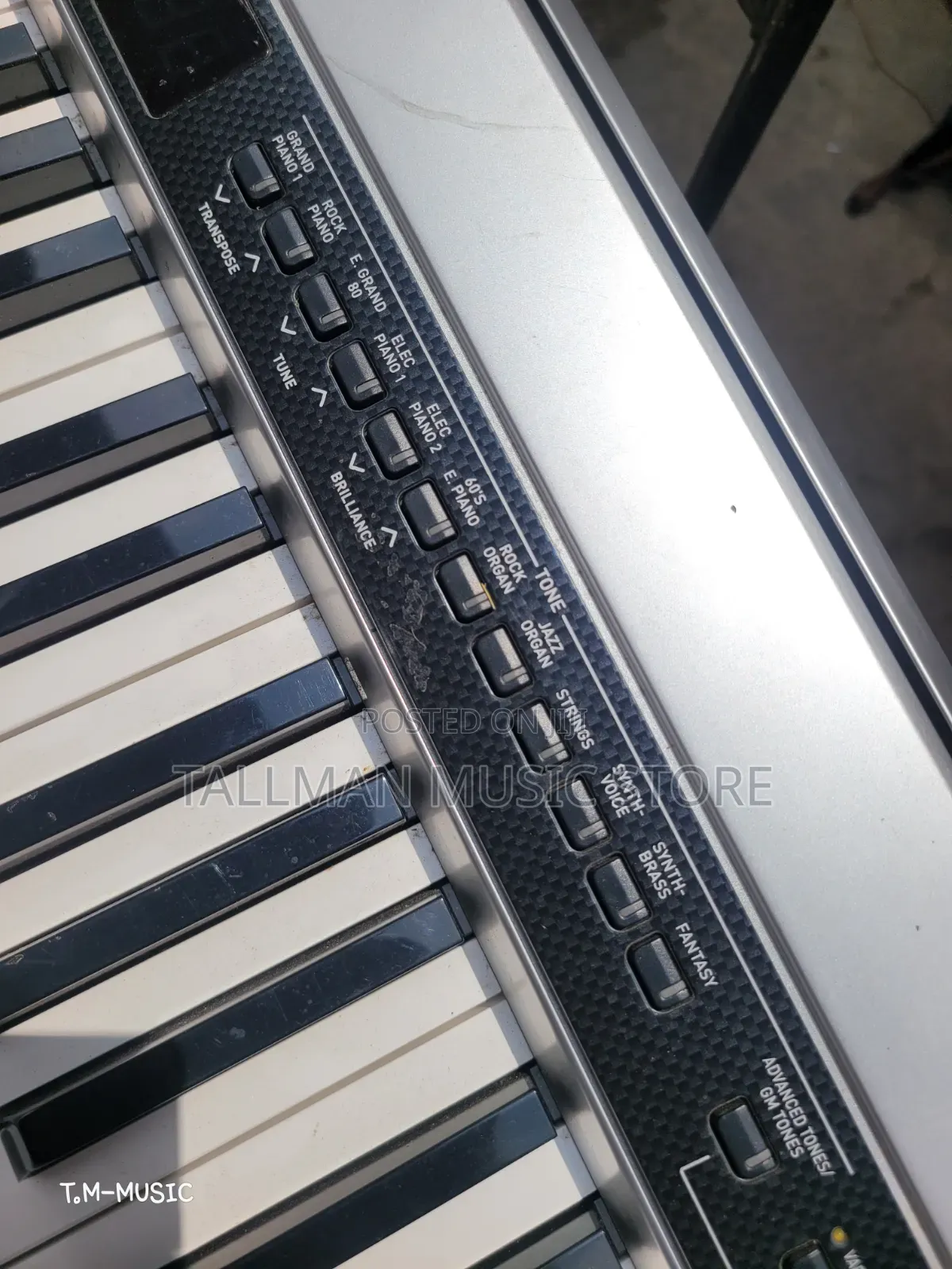 Casio Privia Px310