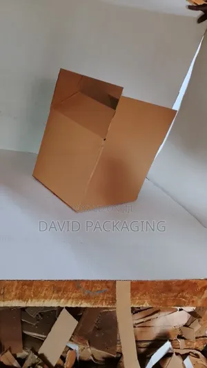 Plain Carton
