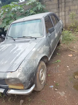 Peugeot 504 1990 Gray