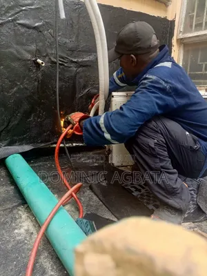 Ipsedixitism Roofing Waterproofing Professionals