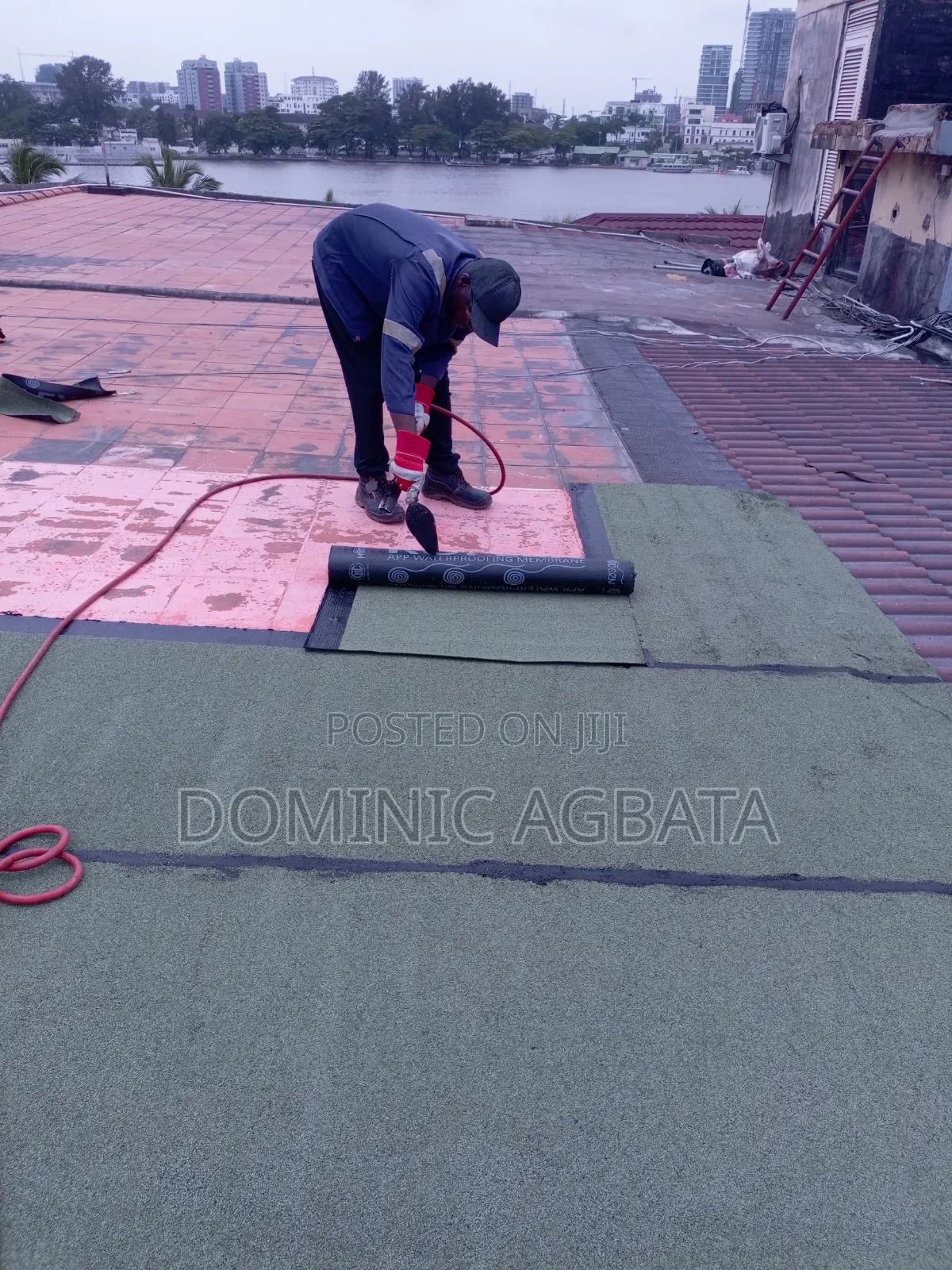 Acedia Roofing Waterproofing Professionals