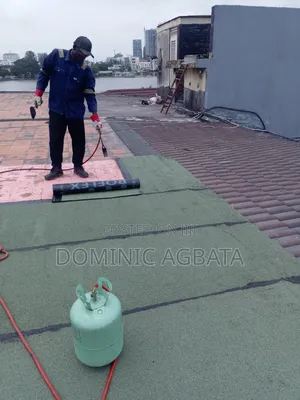 Acedia Roofing Waterproofing Professionals
