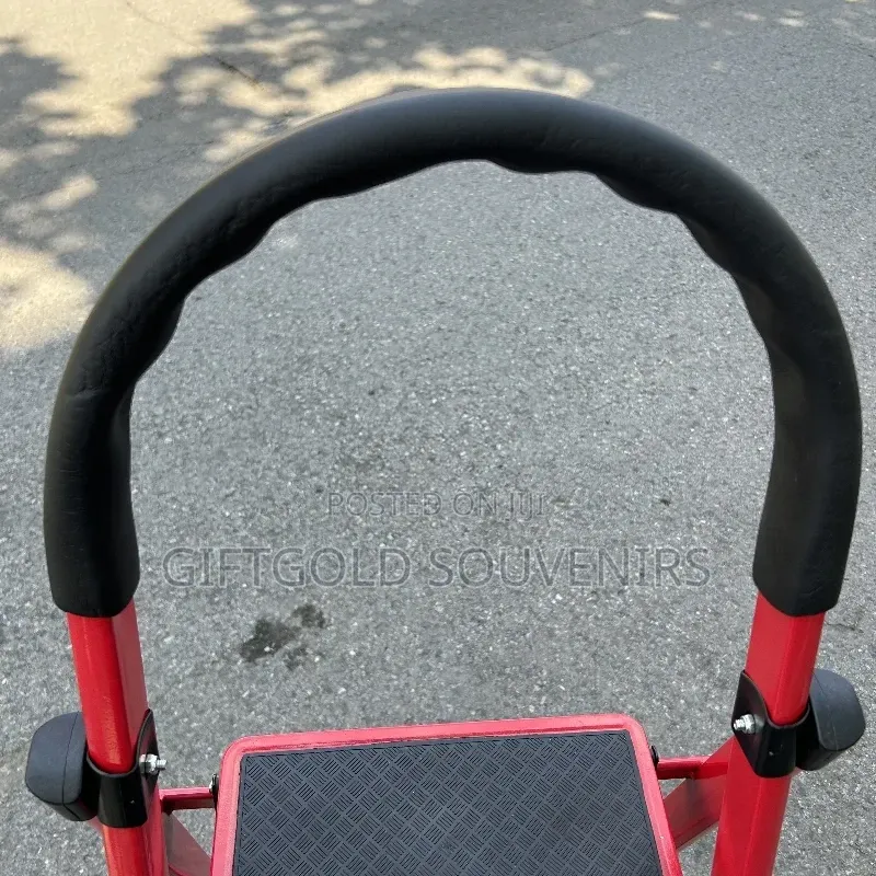 Multipurpose 5- Step Indoor Ladder