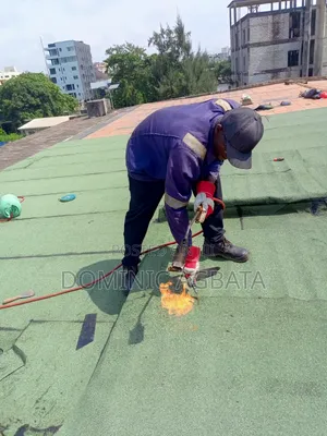 Oneirocriticism Roofing Waterproofing Professionals