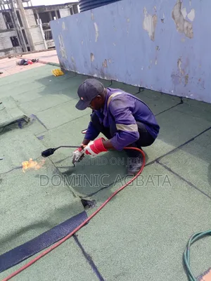 Emulous Roofing Waterproofing Professionals