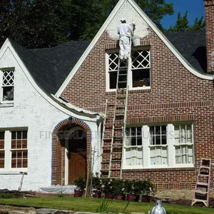 Las House and Office Painting ,And Screeding