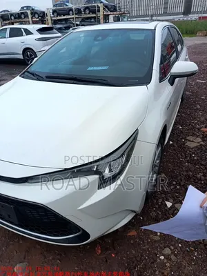 Toyota Corolla 2019 White