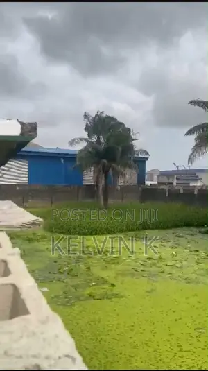 1200 SQM for Lease Lakowe Best Warehouse