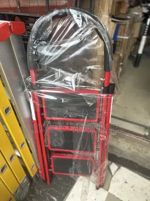 3in 1 Step Ladder