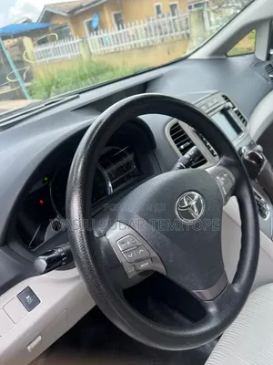 Toyota Venza 2009 Silver