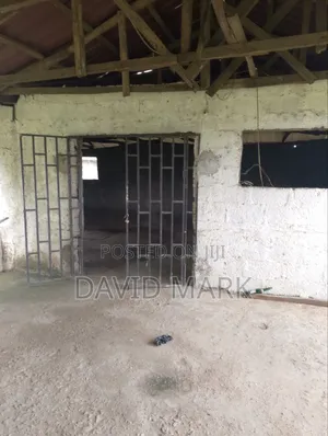 Hall for Rent