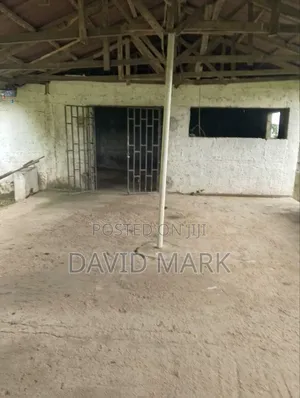 Hall for Rent