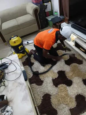 Carpet Rug/Sofa Cleaning