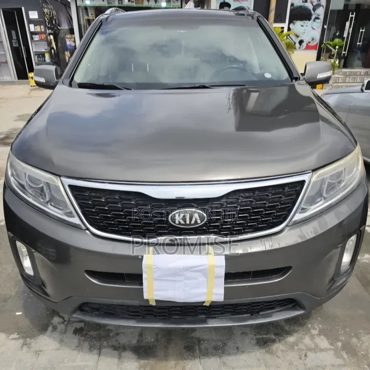 Kia Sorento EX 4dr SUV (3.3L 6cyl 6A) 2014 Gray