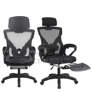Egornomic Designed Swivel Mesh Fabric Office Chair