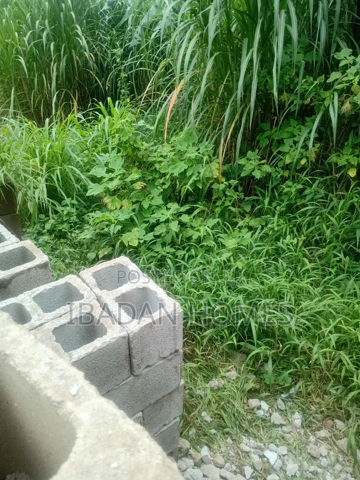 Plot of Land at Awolowo Bodija