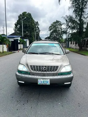 Lexus RX 2003 Gray
