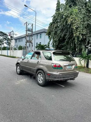 Lexus RX 2003 Gray