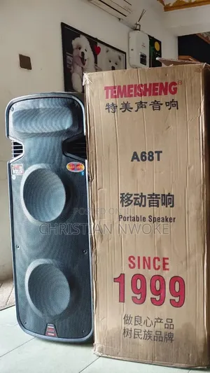 12,000w Double 15 Inches Temeisheng P.A System