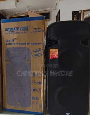 12,000w Double 15 Inches Temeisheng P.A System