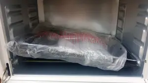 Electric Oven for Sale