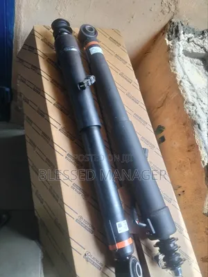Back Shock for Gx470 and 460