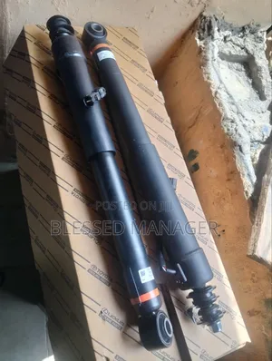 Back Shock for Gx470 and 460