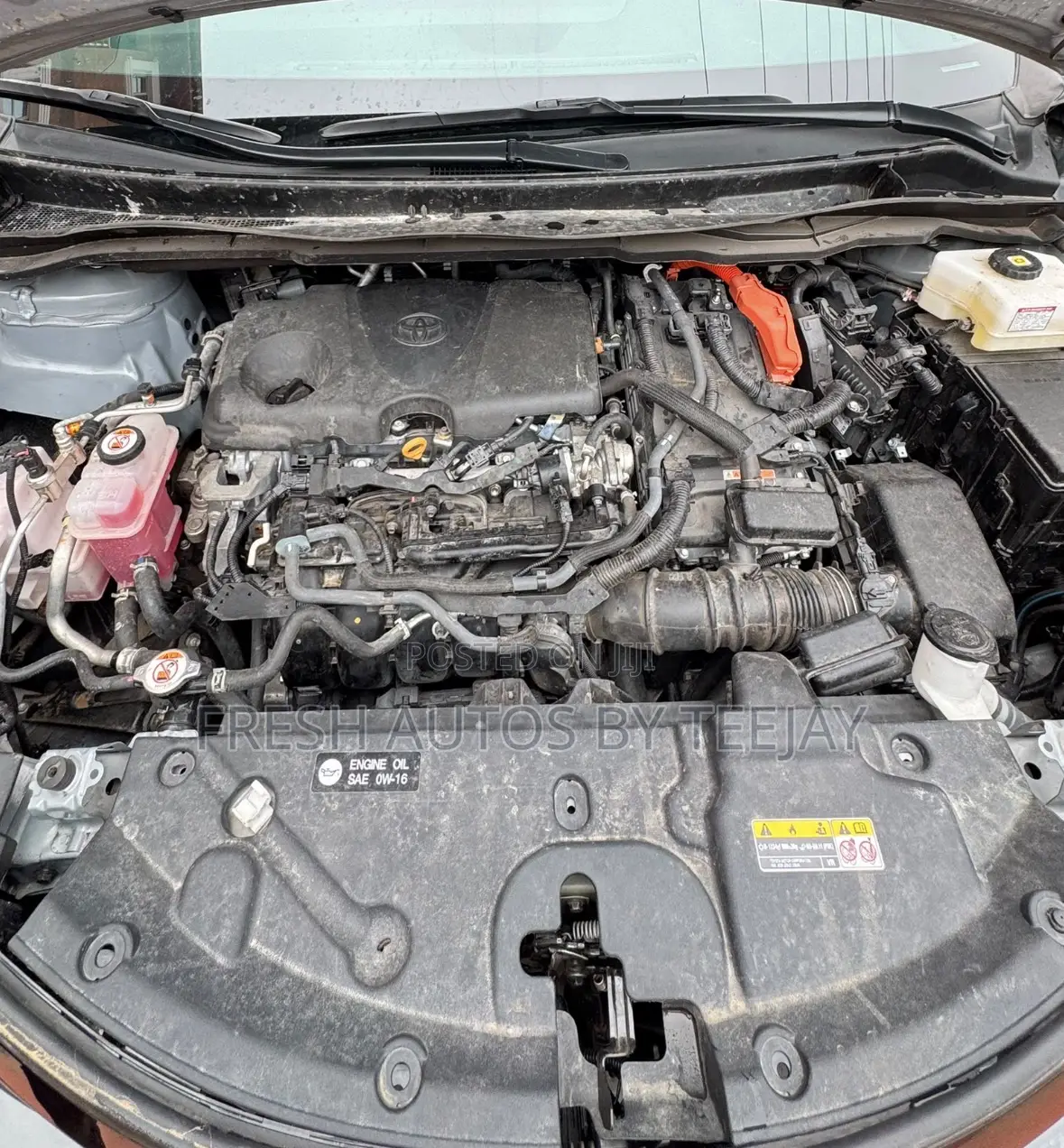 Toyota Sienna XLE 7-Passenger AWD 2025 Gray