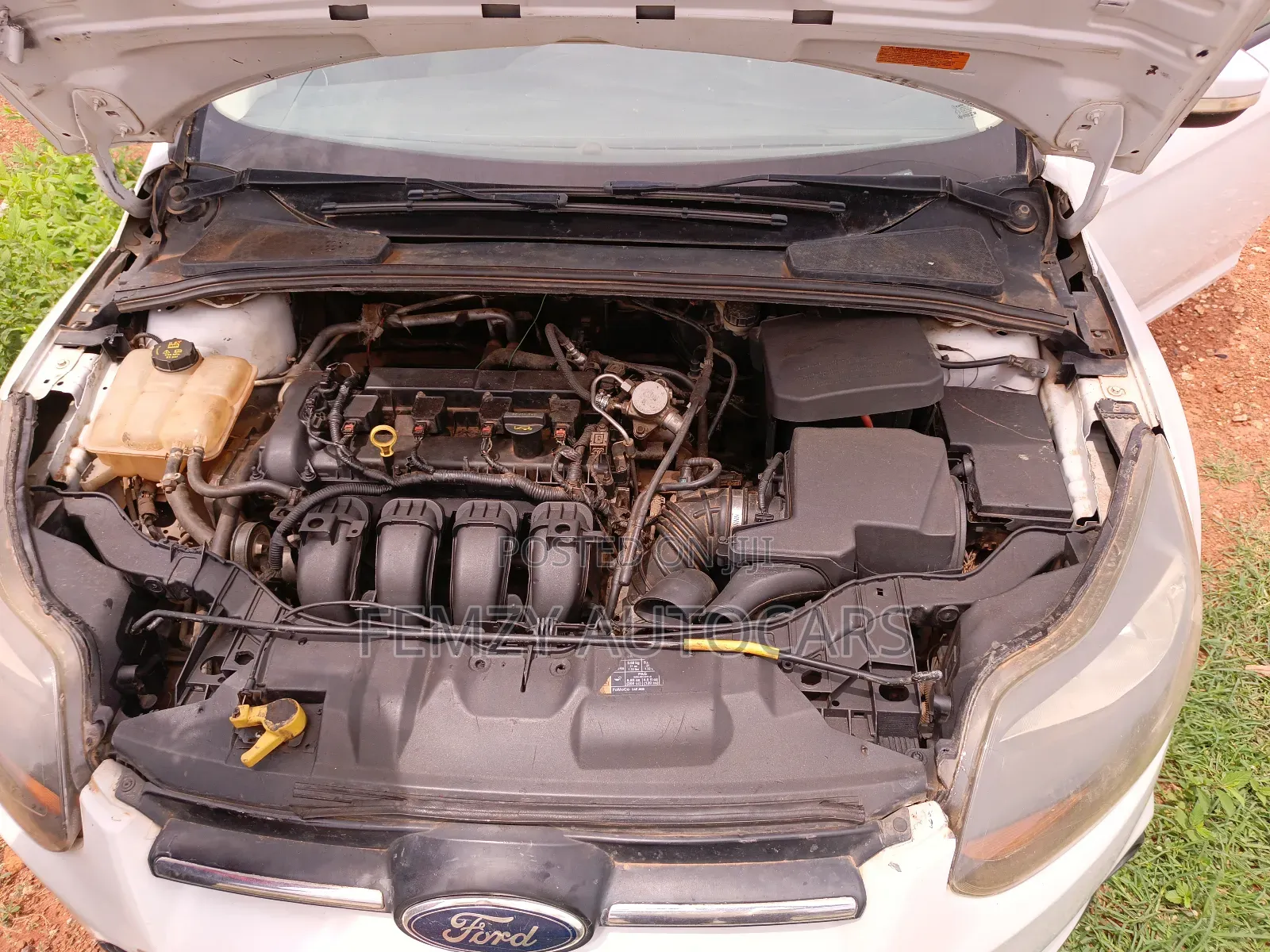 Ford Focus 2014 White
