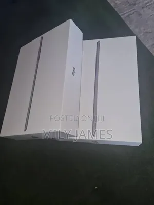 Apple iPad 10.2 (2021) 256 GB Gray