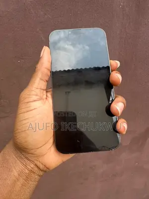 Apple iPhone 13 Pro Max 256 GB Green