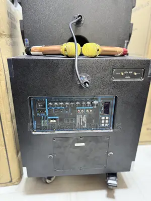Modern Day PA System Line Array - Oga Ndi Oga