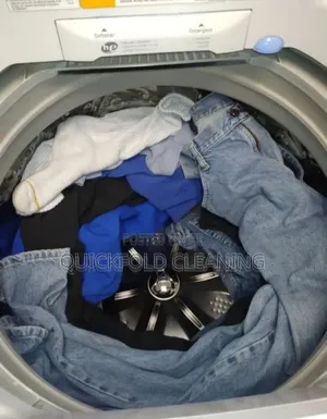 Abuja Laundry Man